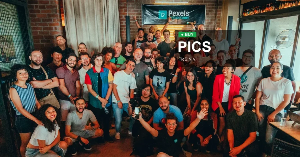 PicS N.V. stock analysis
